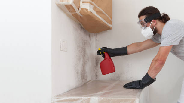 Professional Basement Mold Remediation technician working in Bunnlevel, NC