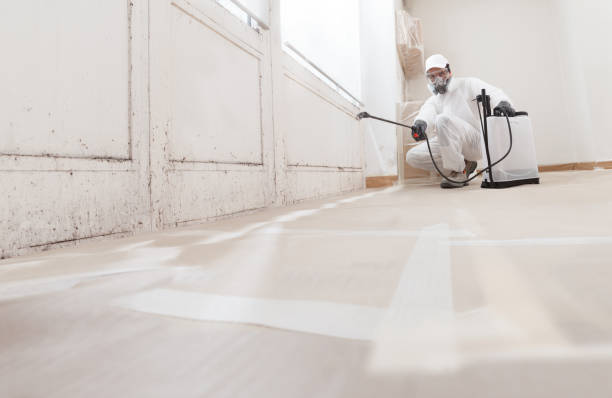 24/7 Emergency Basement Mold Remediation experts in Bunnlevel, NC